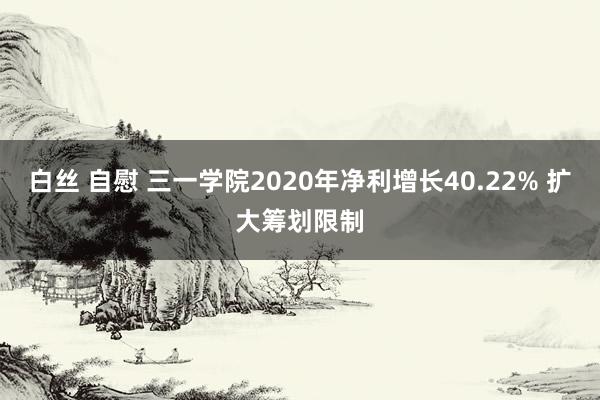 白丝 自慰 三一学院2020年净利增长40.22% 扩大筹划限制