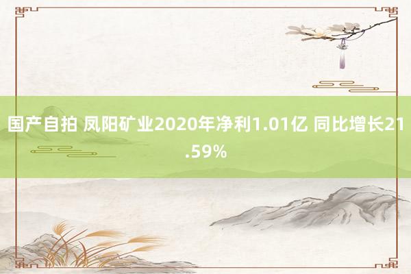 国产自拍 凤阳矿业2020年净利1.01亿 同比增长21.59%