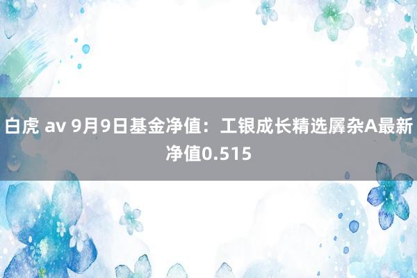 白虎 av 9月9日基金净值：工银成长精选羼杂A最新净值0.515