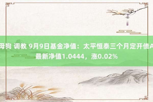 母狗 调教 9月9日基金净值：太平恒泰三个月定开债A最新净值1.0444，涨0.02%