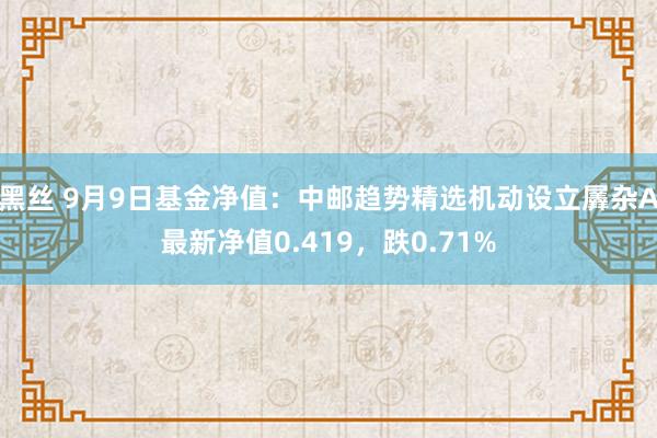 黑丝 9月9日基金净值：中邮趋势精选机动设立羼杂A最新净值0.419，跌0.71%