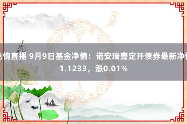 色情直播 9月9日基金净值：诺安瑞鑫定开债券最新净值1.1233，涨0.01%