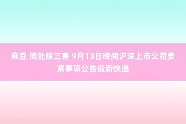 麻豆 周处除三害 9月13日晚间沪深上市公司要紧事项公告最新快递