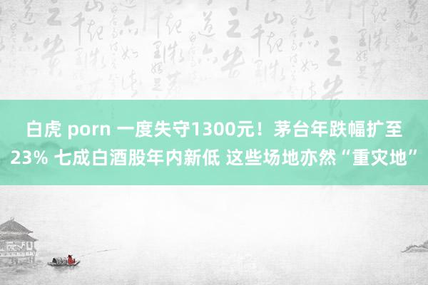 白虎 porn 一度失守1300元！茅台年跌幅扩至23% 七成白酒股年内新低 这些场地亦然“重灾地”