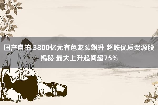 国产自拍 3800亿元有色龙头飙升 超跌优质资源股揭秘 最大上升起间超75%