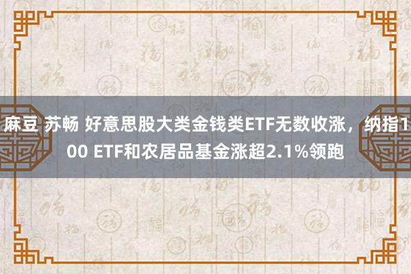 麻豆 苏畅 好意思股大类金钱类ETF无数收涨，纳指100 ETF和农居品基金涨超2.1%领跑