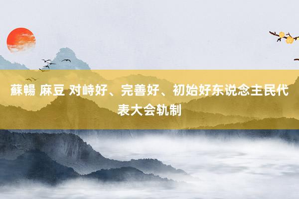 蘇暢 麻豆 对峙好、完善好、初始好东说念主民代表大会轨制