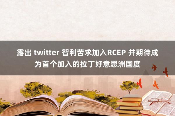 露出 twitter 智利苦求加入RCEP 并期待成为首个加入的拉丁好意思洲国度