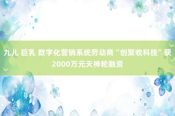 九儿 巨乳 数字化营销系统劳动商“创聚收科技”获2000万元天神轮融资