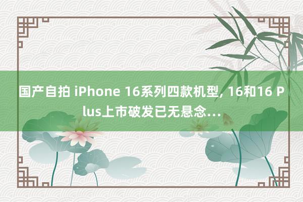 国产自拍 iPhone 16系列四款机型， 16和16 Plus上市破发已无悬念…