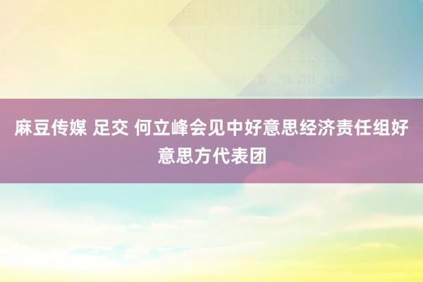 麻豆传媒 足交 何立峰会见中好意思经济责任组好意思方代表团