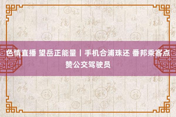 色情直播 望岳正能量丨手机合浦珠还 番邦乘客点赞公交驾驶员