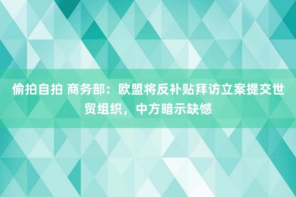 偷拍自拍 商务部：欧盟将反补贴拜访立案提交世贸组织，中方暗示缺憾