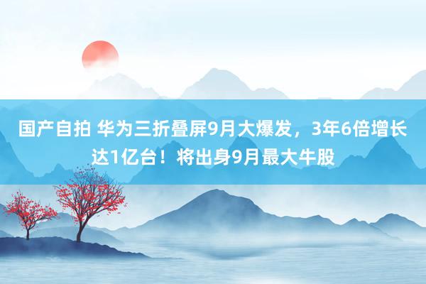 国产自拍 华为三折叠屏9月大爆发，3年6倍增长达1亿台！将出身9月最大牛股