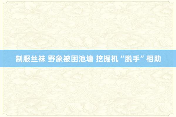 制服丝袜 野象被困池塘 挖掘机“脱手”相助