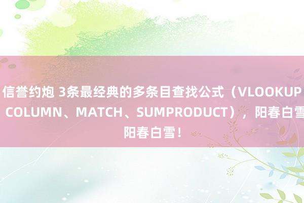 信誉约炮 3条最经典的多条目查找公式（VLOOKUP、COLUMN、MATCH、SUMPRODUCT），阳春白雪！