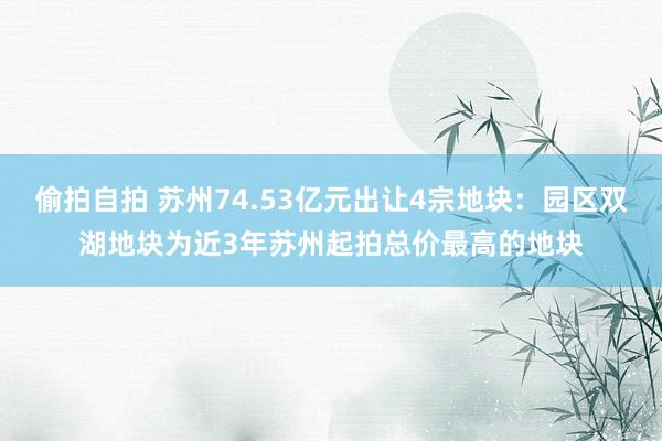 偷拍自拍 苏州74.53亿元出让4宗地块：园区双湖地块为近3年苏州起拍总价最高的地块