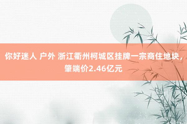 你好迷人 户外 浙江衢州柯城区挂牌一宗商住地块，肇端价2.46亿元