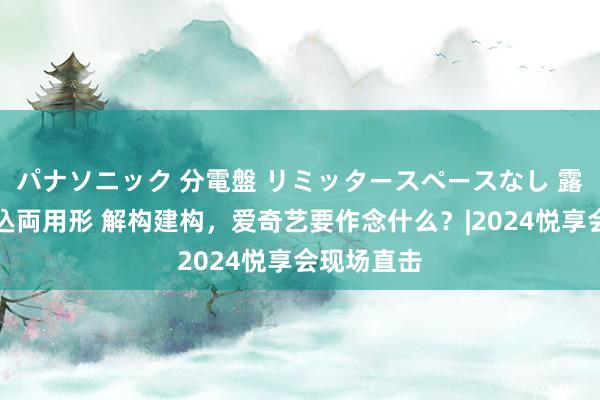 パナソニック 分電盤 リミッタースペースなし 露出・半埋込両用形 解构建构，爱奇艺要作念什么？|2024悦享会现场直击