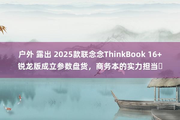 户外 露出 2025款联念念ThinkBook 16+锐龙版成立参数盘货，商务本的实力担当‌