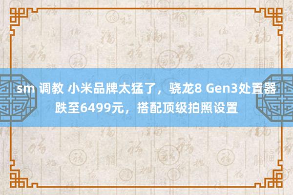 sm 调教 小米品牌太猛了，骁龙8 Gen3处置器跌至6499元，搭配顶级拍照设置