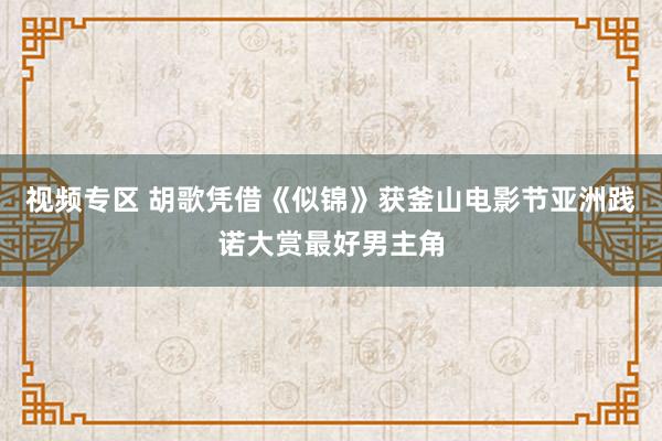 视频专区 胡歌凭借《似锦》获釜山电影节亚洲践诺大赏最好男主角