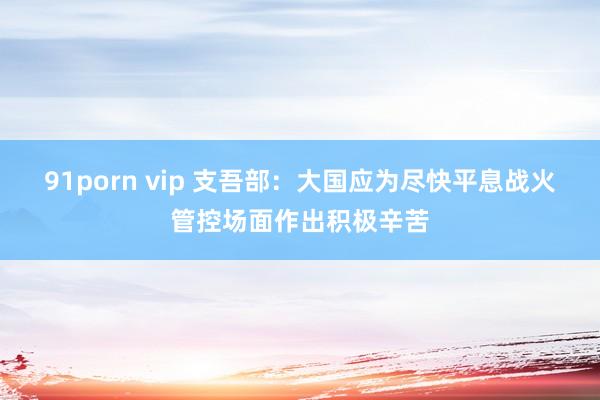 91porn vip 支吾部：大国应为尽快平息战火管控场面作出积极辛苦