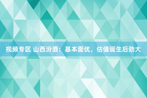 视频专区 山西汾酒：基本面优，估值诞生后劲大