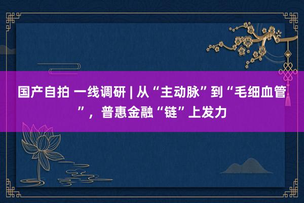 国产自拍 一线调研 | 从“主动脉”到“毛细血管”，普惠金融“链”上发力