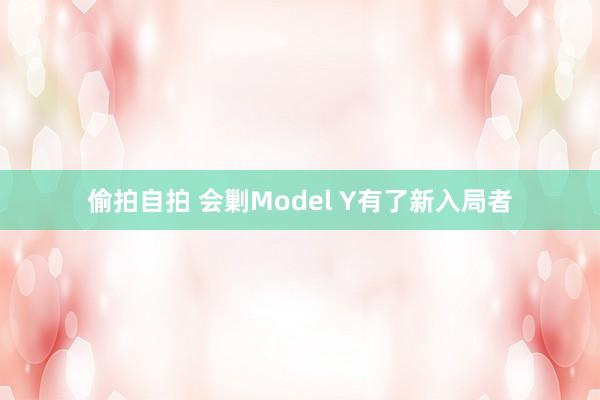 偷拍自拍 会剿Model Y有了新入局者