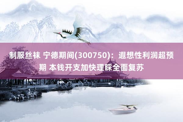 制服丝袜 宁德期间(300750)：遐想性利润超预期 本钱开支加快理睬全面复苏