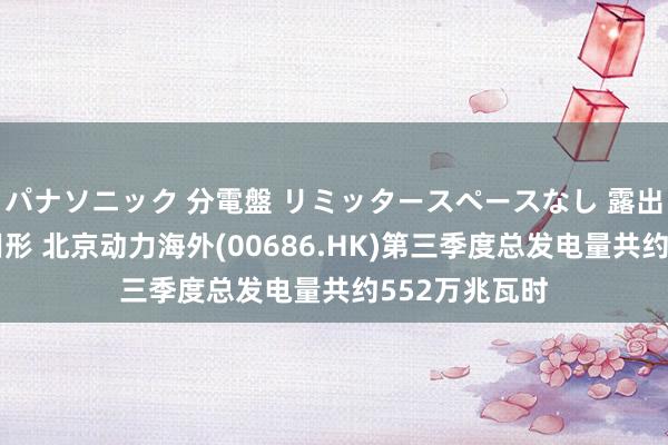 パナソニック 分電盤 リミッタースペースなし 露出・半埋込両用形 北京动力海外(00686.HK)第三季度总发电量共约552万兆瓦时