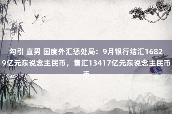 勾引 直男 国度外汇惩处局：9月银行结汇16829亿元东说念主民币，售汇13417亿元东说念主民币