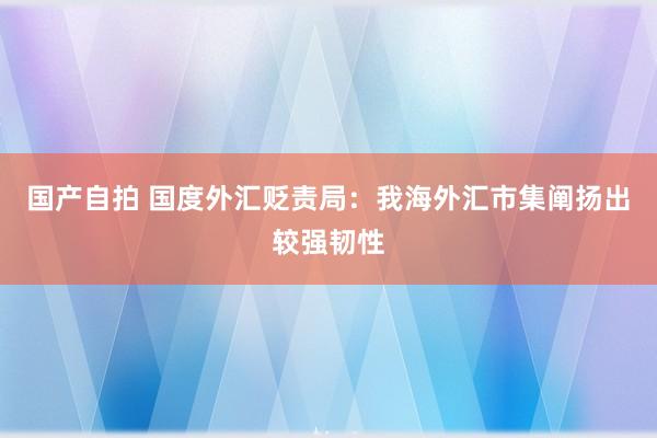 国产自拍 国度外汇贬责局：我海外汇市集阐扬出较强韧性