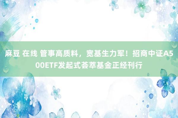 麻豆 在线 管事高质料，宽基生力军！招商中证A500ETF发起式荟萃基金正经刊行