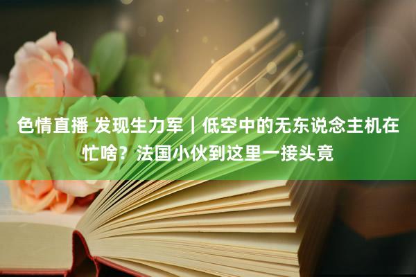 色情直播 发现生力军｜低空中的无东说念主机在忙啥？法国小伙到这里一接头竟