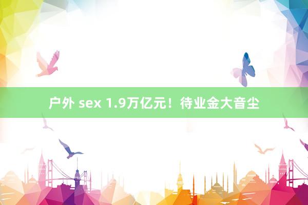 户外 sex 1.9万亿元！待业金大音尘