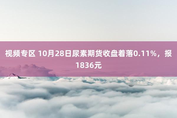 视频专区 10月28日尿素期货收盘着落0.11%，报1836元