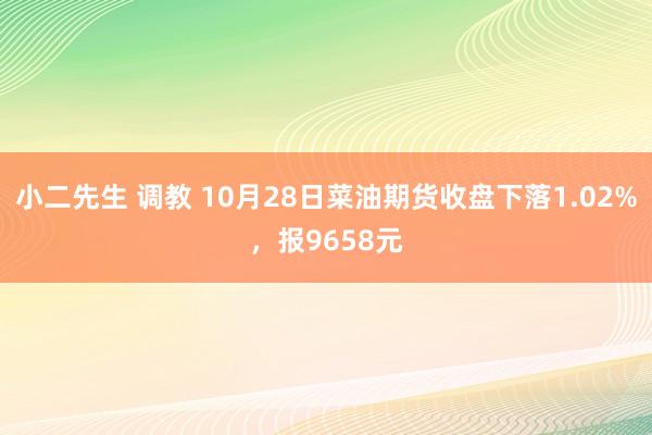 小二先生 调教 10月28日菜油期货收盘下落1.02%，报9658元