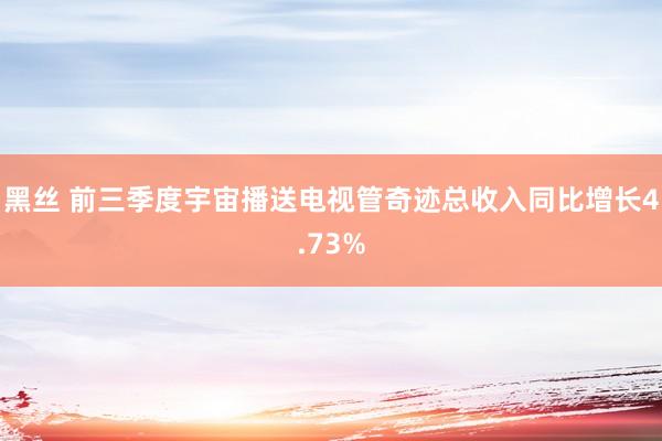 黑丝 前三季度宇宙播送电视管奇迹总收入同比增长4.73%