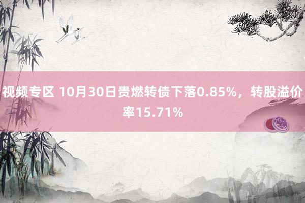 视频专区 10月30日贵燃转债下落0.85%，转股溢价率15.71%