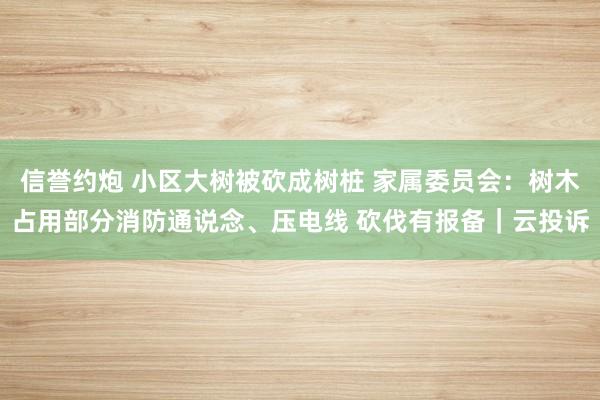 信誉约炮 小区大树被砍成树桩 家属委员会：树木占用部分消防通说念、压电线 砍伐有报备｜云投诉