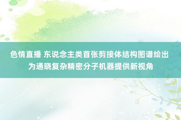 色情直播 东说念主类首张剪接体结构图谱绘出 为通晓复杂精密分子机器提供新视角