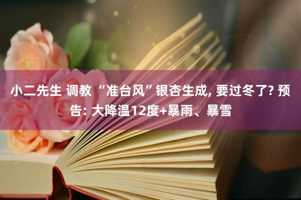 小二先生 调教 “准台风”银杏生成， 要过冬了? 预告: 大降温12度+暴雨、暴雪