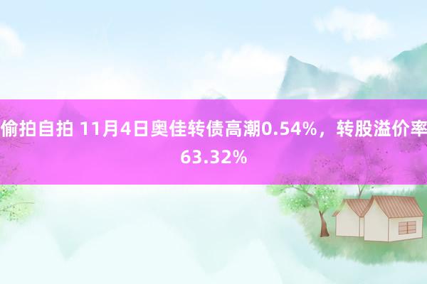 偷拍自拍 11月4日奥佳转债高潮0.54%，转股溢价率63.32%