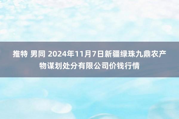 推特 男同 2024年11月7日新疆绿珠九鼎农产物谋划处分有限公司价钱行情