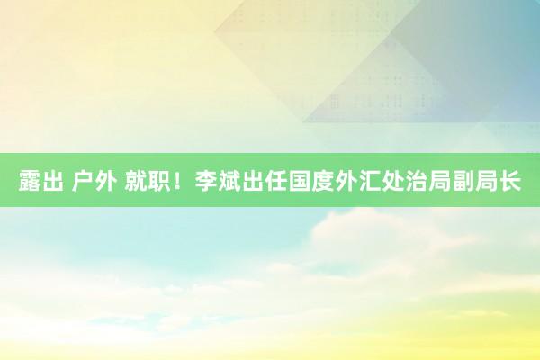 露出 户外 就职！李斌出任国度外汇处治局副局长