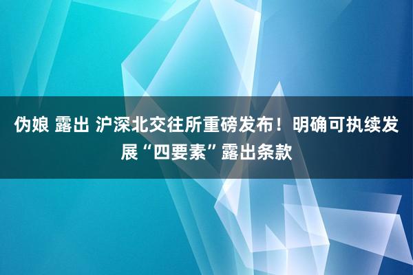 伪娘 露出 沪深北交往所重磅发布！明确可执续发展“四要素”露出条款