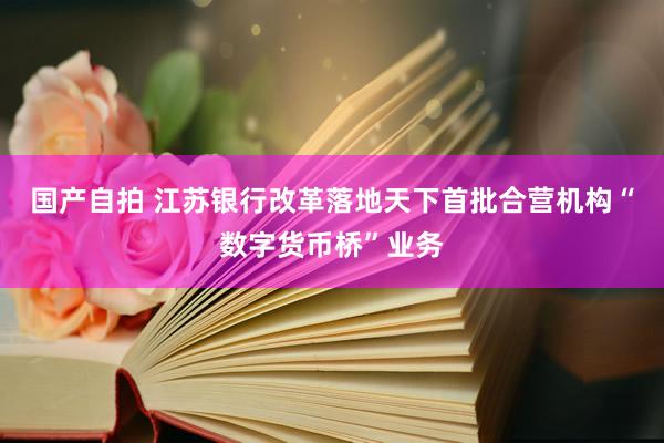 国产自拍 江苏银行改革落地天下首批合营机构“数字货币桥”业务