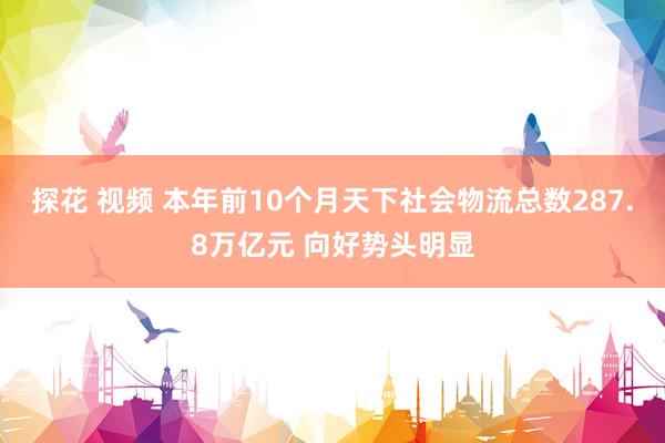 探花 视频 本年前10个月天下社会物流总数287.8万亿元 向好势头明显